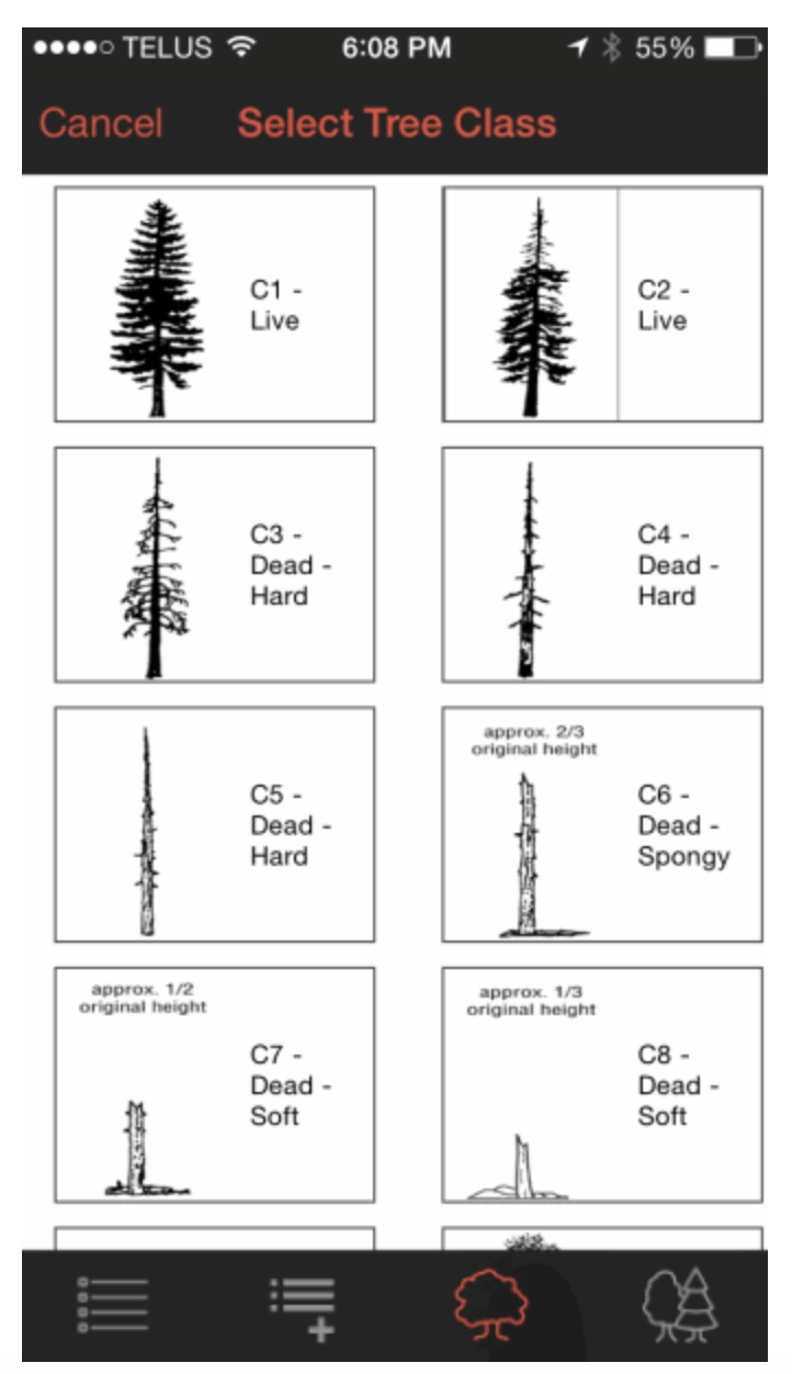 Bootcamp app screenshot: select tree class
